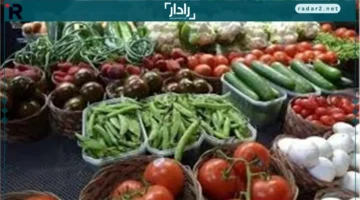 أسعار الخضراوات في سوق العبور للجملة الأحد 19 أكتوبر
